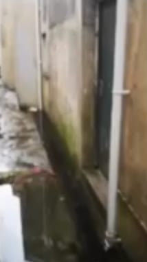 Down pipes directing water to drain