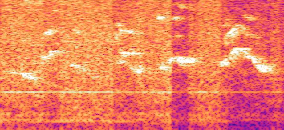 Audacity screenshot