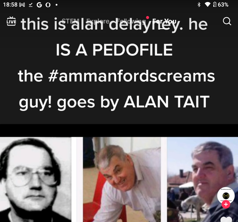 TikTok site with altered photos